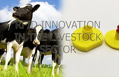 RFID-инновация в секторе животноводства
